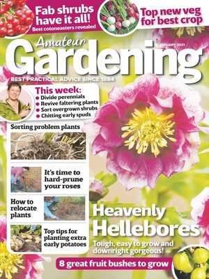 cover image of Amateur Gardening
